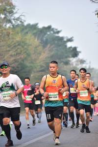BIB: 21334
                            <button type="button" onclick="openModal(10137029)" class="btn btn-primary btn-sm float-right btn-popup" data-toggle="modal" data-target=".modal-high-quality">
                        <i class="fas fa-shopping-cart"></i> Add to Cart
                    </button>
                                            <button type="button" onclick="isThisMe(10137029, true)" class="btn btn-success btn-sm float-right btn-popup btn-isme hidden" data-toggle="tooltip" data-placement="bottom" title="นี่คือรูปของคุณใช่ไหม คลิกที่นี่เพื่อเอาเข้าอัลบั้ม">
                        <i class="fas fa-plus"></i> Add to album
                    </button>
                    <button type="button" onclick="isThisMe(10137029, false)" class="btn btn-warning btn-sm float-right btn-popup btn-isnotme hidden">
                        <i class="fas fa-ban"></i> Remove from album
                    </button>